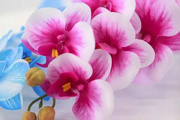 Best Real Touch Artificial Moth Orchid for Event Installations